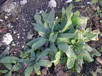 06_11_2018 (16).webp
