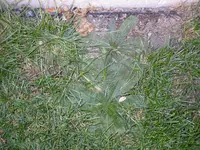 06_11_2018 (21).webp