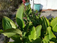 IMG_20181107_094449.webp