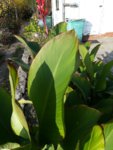 IMG_20181107_094507.jpg