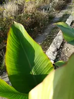 IMG_20181107_094517.jpg