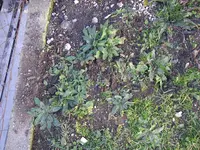 06_11_2018 (13).webp
