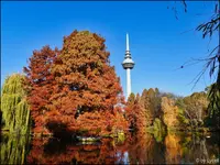 c035.webp