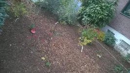 WP_20181107_001.webp
