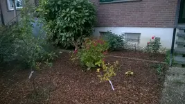 WP_20181107_002.webp