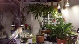 20181107_172332.webp