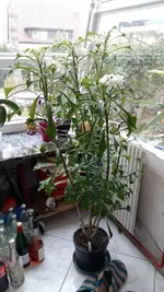 20181023_102032.webp