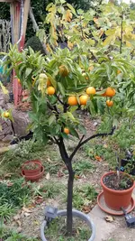 20181024_105640.webp