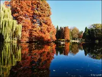 c042.webp