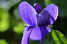 image003.webp