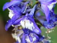 image011.webp