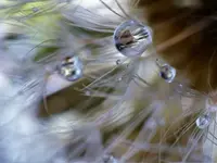 image013.webp