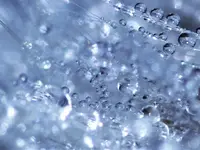 image001.webp