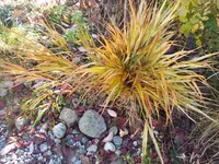 DSCF1993.webp