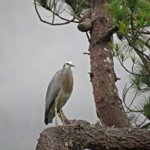IMG_4733.JPG