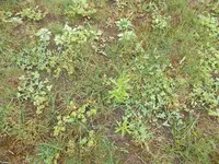 DSCN1479.JPG