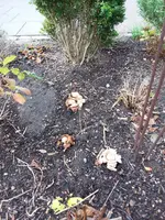 20181110_115340.webp
