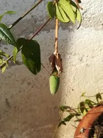 K800_IMG_20181104_120904.JPG