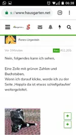 Screenshot_2018-11-11-06-38-16.webp