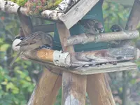 DSCF2021.webp