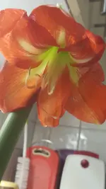 20181110_180102.jpg