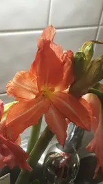 20181110_180034.jpg