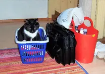 Alles ingepackt.jpg