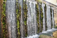 Wassergarten 2.webp