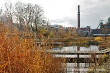 Wassergarten 4.webp