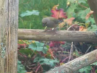 DSCF2024.webp