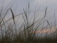 P1110341.webp