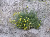 P1110370.webp