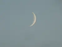 P1110408.webp