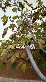 IMG_20181112_111502561.jpg