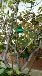 IMG_20181112_111544801.jpg