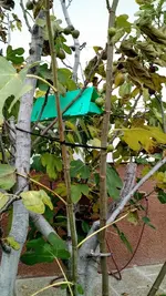 IMG_20181112_111519363.webp