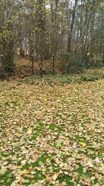 20181113_133424.webp