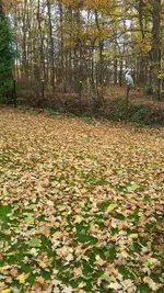 20181113_133457.webp
