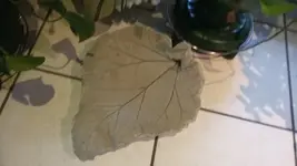 20181113_145005.jpg