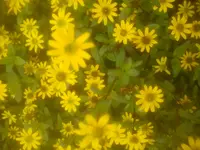 DSC05258.jpg