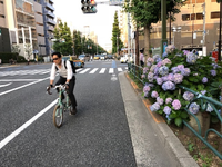 IMG_32011.webp