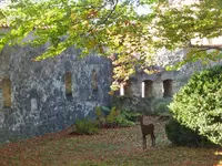 DSCF1902.webp