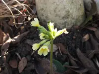 DSCF2032.webp