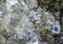 image001.webp
