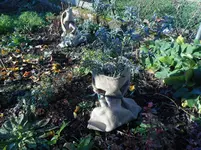 Garten im November 1.jpg