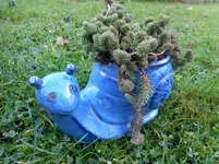 Garten im November 2.webp