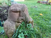 Garten im November 3.jpg