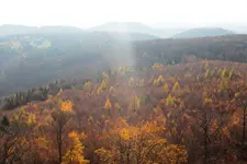 Ausflug im November 2.webp