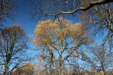 Ausflug im November 4.webp