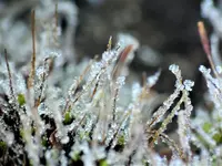 image004.webp